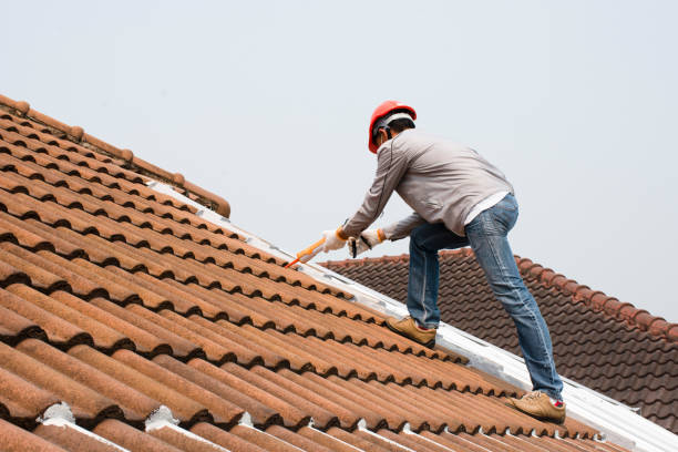 Best Storm Damage Roof Repair  in Winslow, AZ