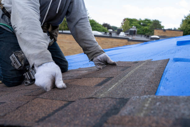 Best Commercial Roofing Services  in Winslow, AZ